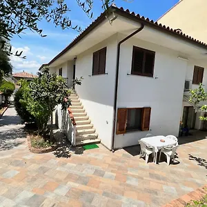 Saba Olbia